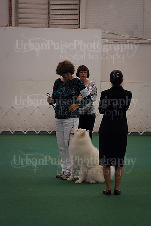 Obedience-3264