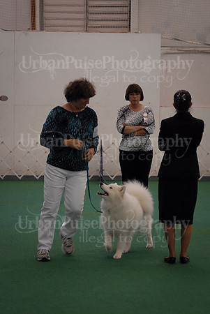 Obedience-3265