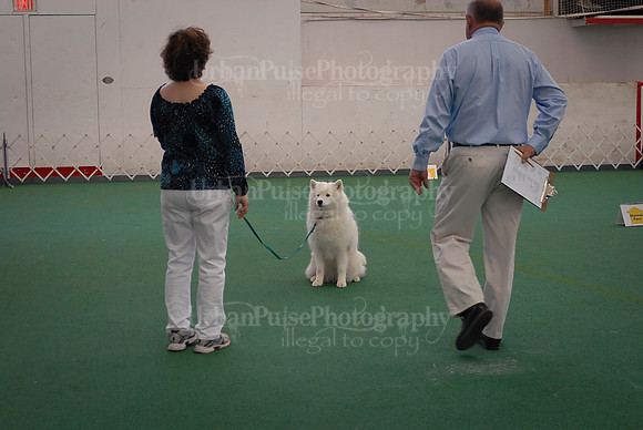 Obedience-3266