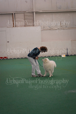 Obedience-3268