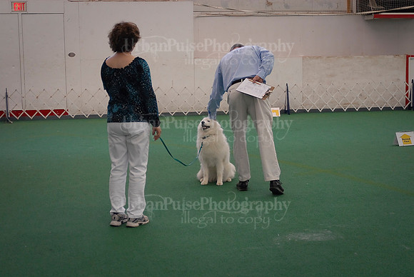 Obedience-3267