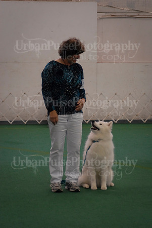 Obedience-3269