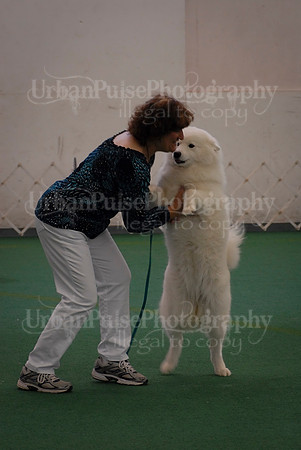 Obedience-3274