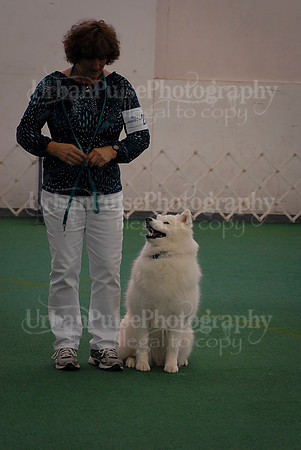 Obedience-3275