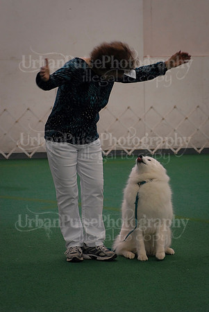 Obedience-3273