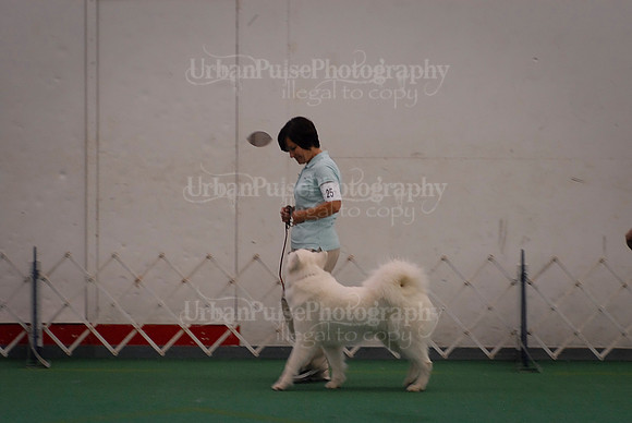 Obedience-3280