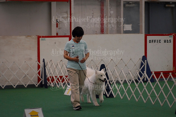 Obedience-3281
