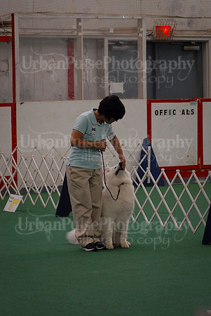 Obedience-3282