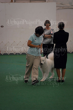 Obedience-3284