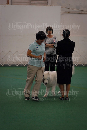 Obedience-3285