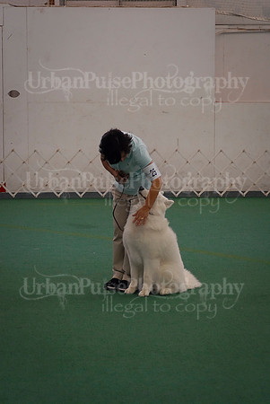 Obedience-3286