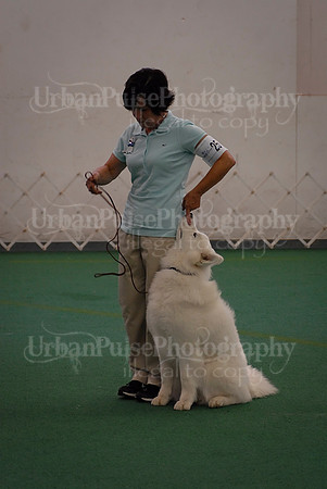 Obedience-3287