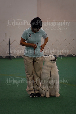 Obedience-3289