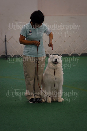 Obedience-3290