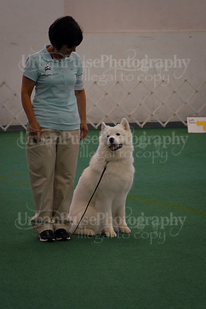 Obedience-3291