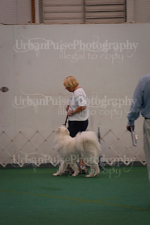 Obedience-3299