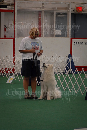 Obedience-3302