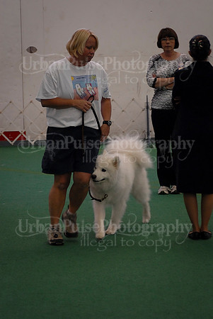 Obedience-3303
