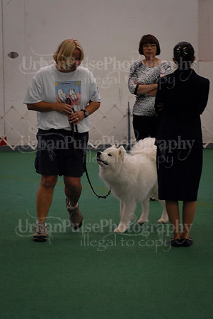 Obedience-3304