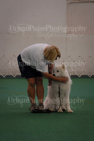 Obedience-3308