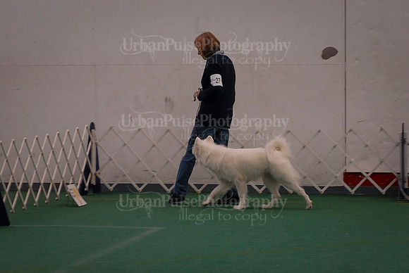 Obedience-3312