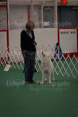 Obedience-3313