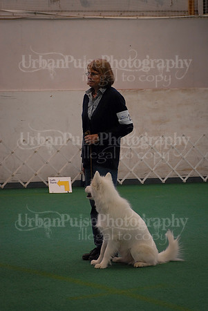 Obedience-3315