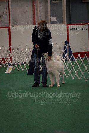 Obedience-3314