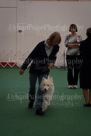 Obedience-3316