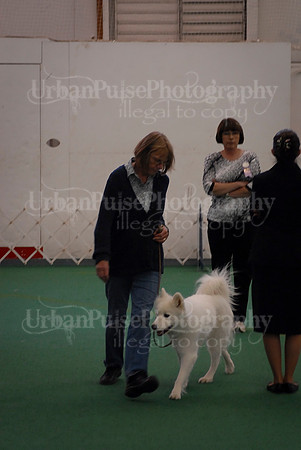 Obedience-3317