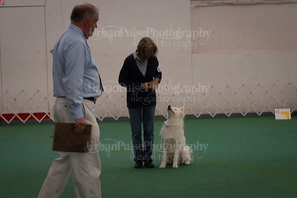 Obedience-3318