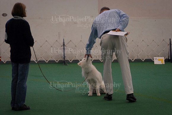 Obedience-3319