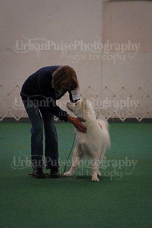 Obedience-3322
