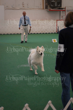 Obedience-3325
