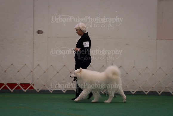 Obedience-3327