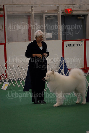 Obedience-3329