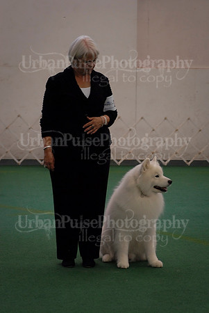 Obedience-3333