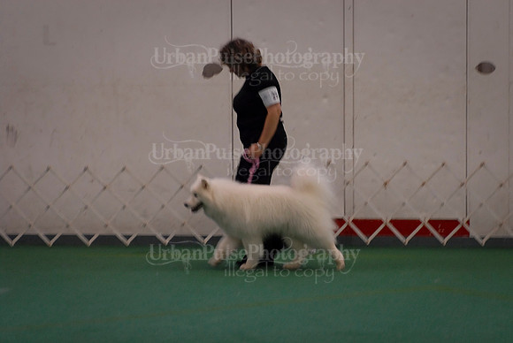 Obedience-3339