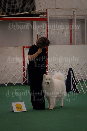 Obedience-3340