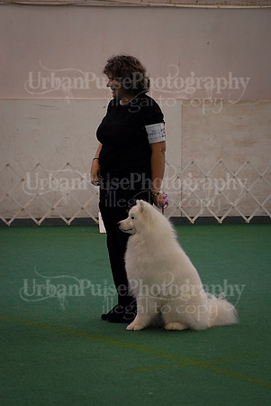 Obedience-3342