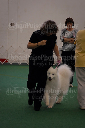 Obedience-3343