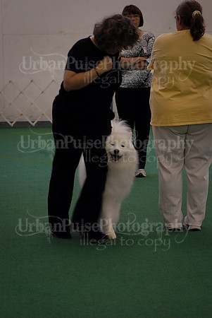 Obedience-3344
