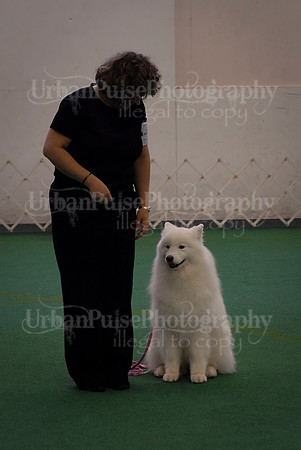 Obedience-3347