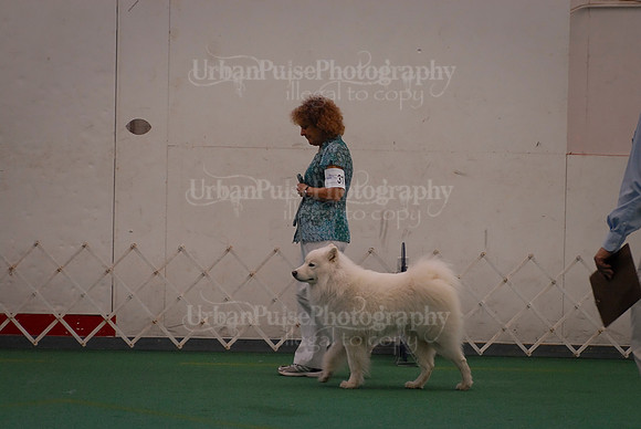 Obedience-3353