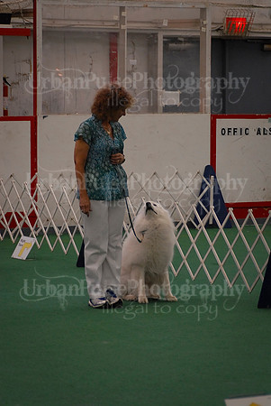 Obedience-3355
