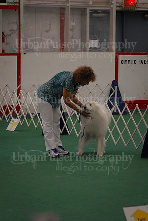 Obedience-3356