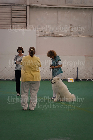 Obedience-3357