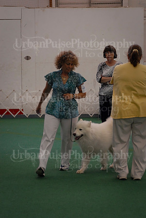 Obedience-3358