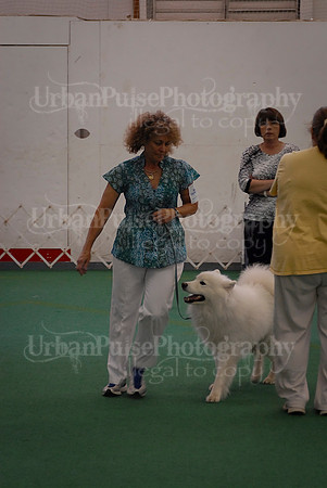 Obedience-3359