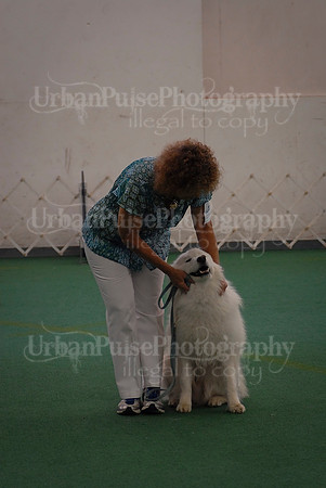 Obedience-3361